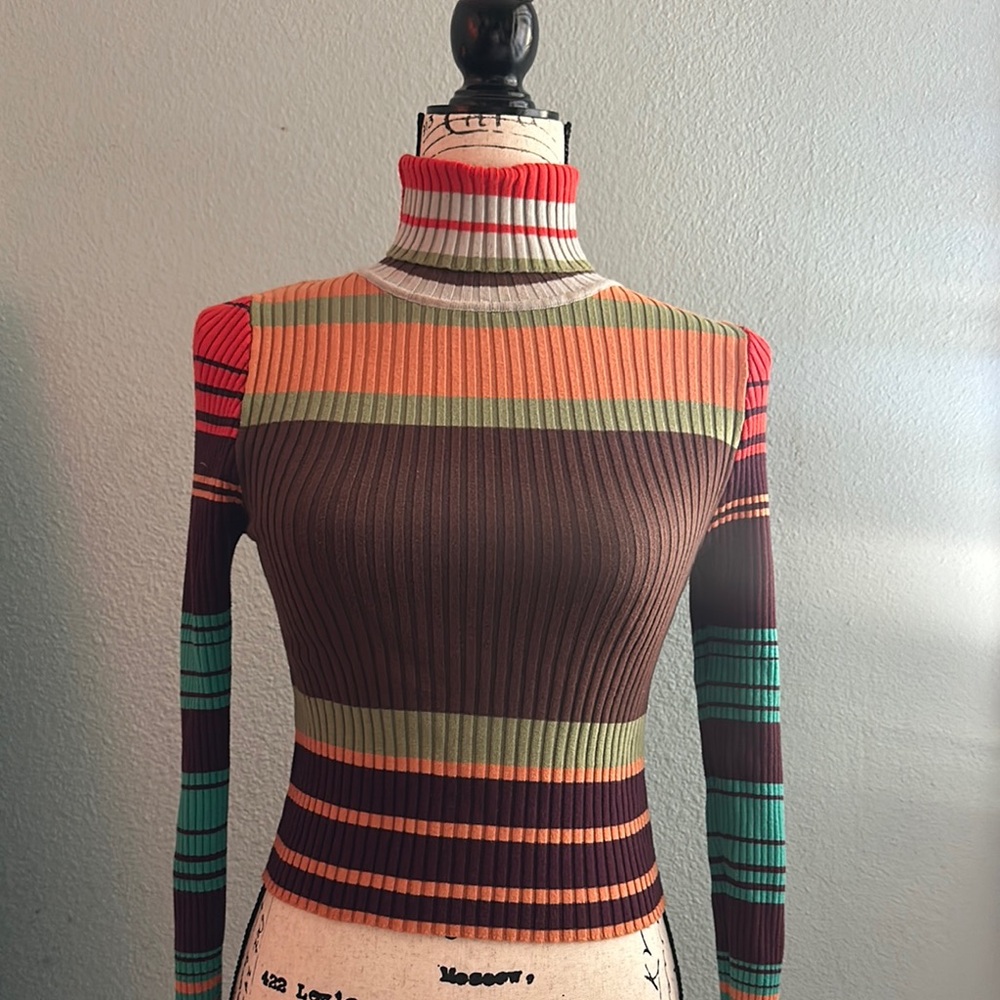 Striped Turtleneck Sweater in Multicolor Ribbed Knit